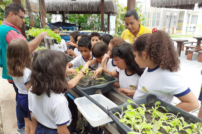 Aula prática no Núcleo de Educação Ambiental com Alunos do 3° ano B