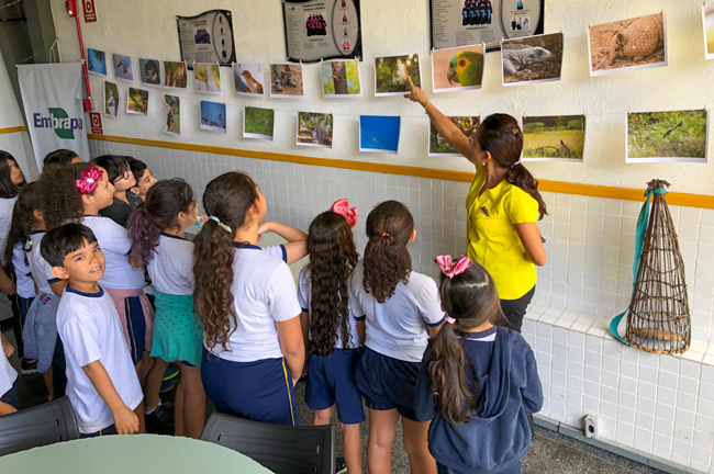 Ações em escola conscientizam contra tráfico de animais silvestres