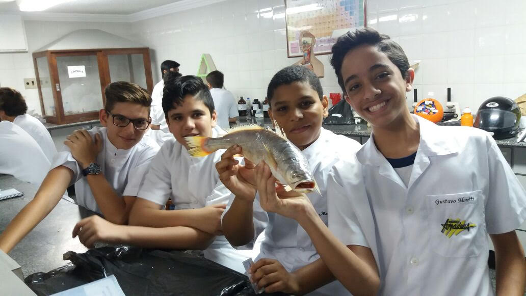 Alunos participam de aula prática